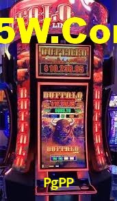 Premium Interface PgPP